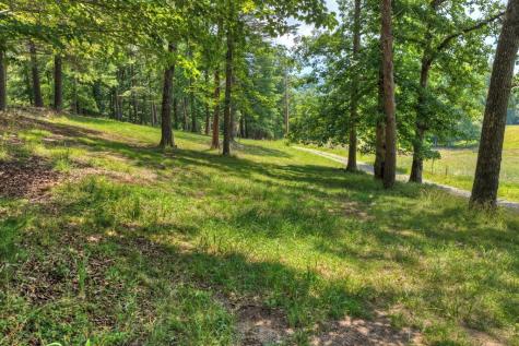 963 Black Ankle Lane Blue Ridge GA 30513