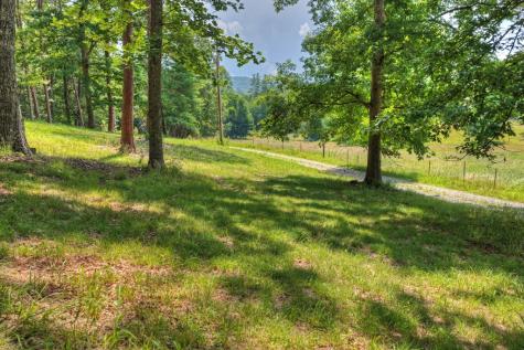 963 Black Ankle Lane Blue Ridge GA 30513