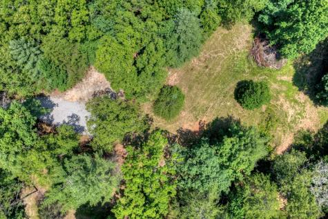 963 Black Ankle Lane Blue Ridge GA 30513