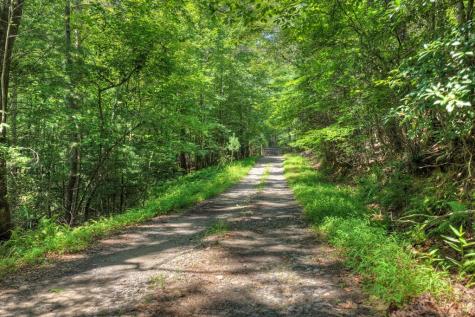 963 Black Ankle Lane Blue Ridge GA 30513