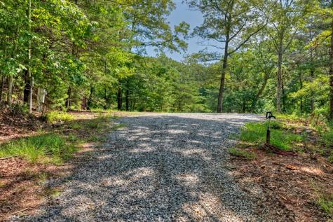 963 Black Ankle Lane Blue Ridge GA 30513