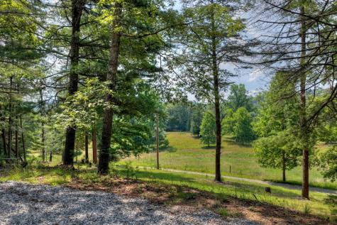 963 Black Ankle Lane Blue Ridge GA 30513