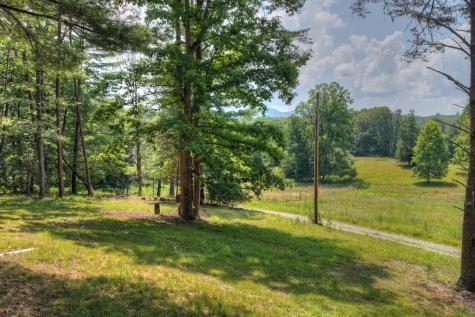 963 Black Ankle Lane Blue Ridge GA 30513