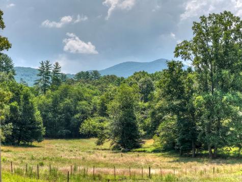 963 Black Ankle Lane Blue Ridge GA 30513