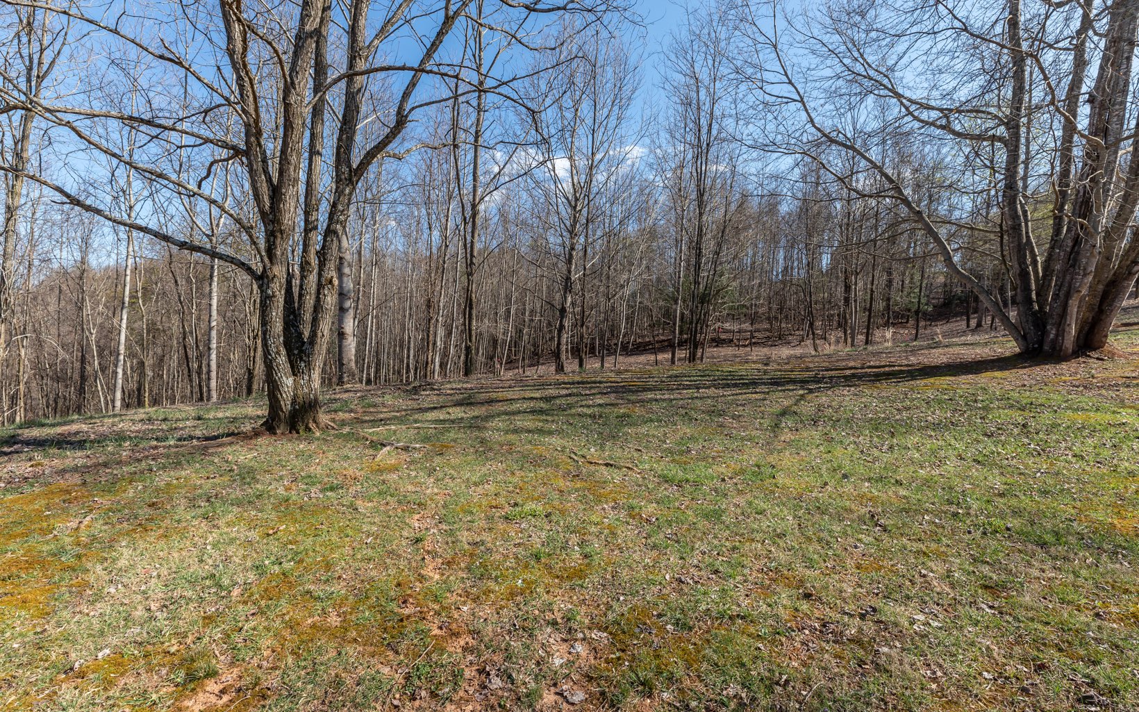 The Summit Blairsville GA 30512