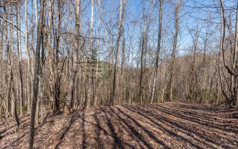 The Summit Blairsville GA 30512
