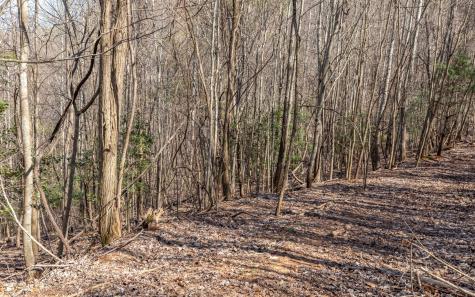 The Summit Blairsville GA 30512