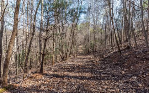 The Summit Blairsville GA 30512