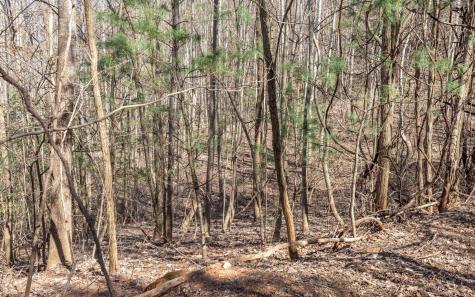 The Summit Blairsville GA 30512