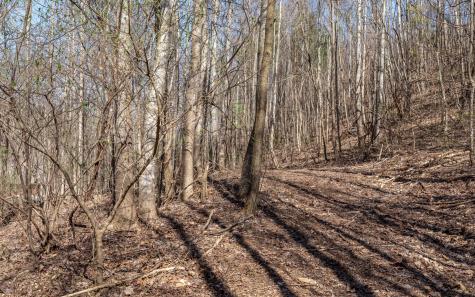 The Summit Blairsville GA 30512