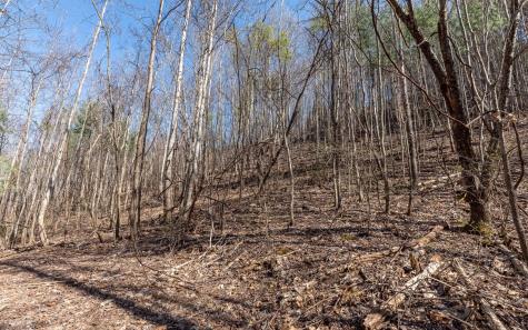 The Summit Blairsville GA 30512