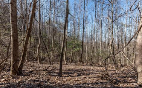 The Summit Blairsville GA 30512