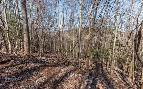 The Summit Blairsville GA 30512