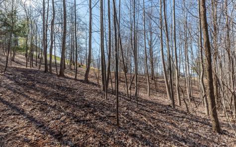 The Summit Blairsville GA 30512