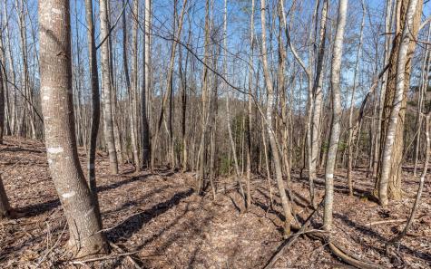 The Summit Blairsville GA 30512