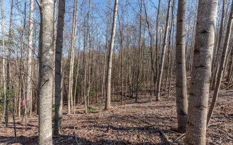 The Summit Blairsville GA 30512