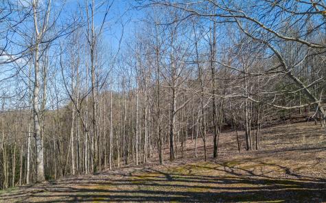 The Summit Blairsville GA 30512
