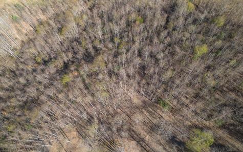The Summit Blairsville GA 30512