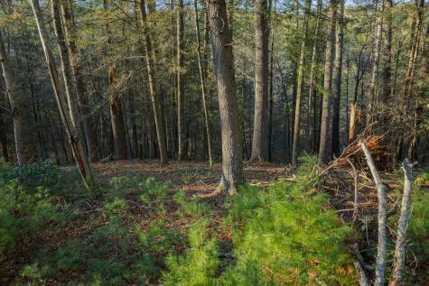 Lot 56 Riverbend Trail Ellijay GA 30540