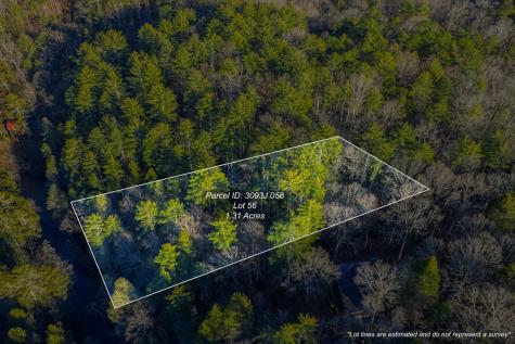 Lot 56 Riverbend Trail Ellijay GA 30540