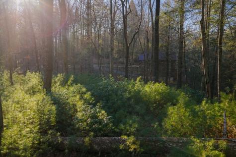 Lot 56 Riverbend Trail Ellijay GA 30540