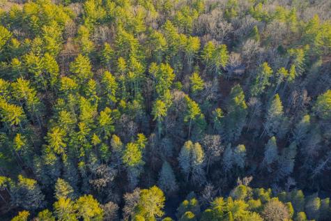 Lot 56 Riverbend Trail Ellijay GA 30540