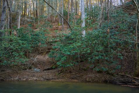 Lot 56 Riverbend Trail Ellijay GA 30540