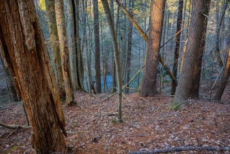 Lot 56 Riverbend Trail Ellijay GA 30540