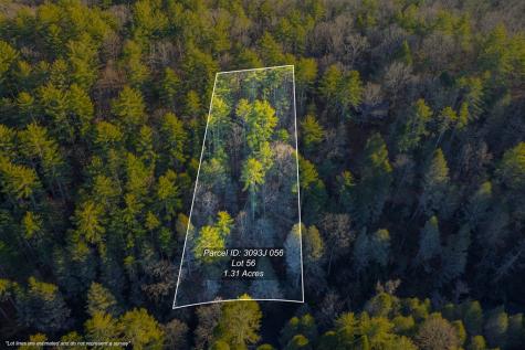 Lot 56 Riverbend Trail Ellijay GA 30540