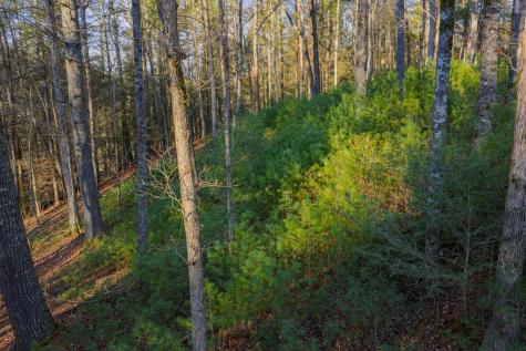 Lot 56 Riverbend Trail Ellijay GA 30540