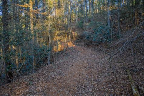 Lot 56 Riverbend Trail Ellijay GA 30540