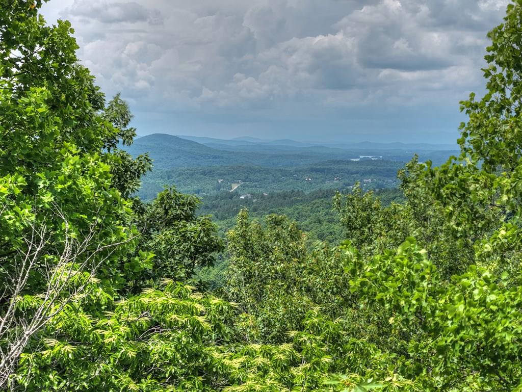 Lot 94 Thirteen Hundred S/d Blairsville GA 30512