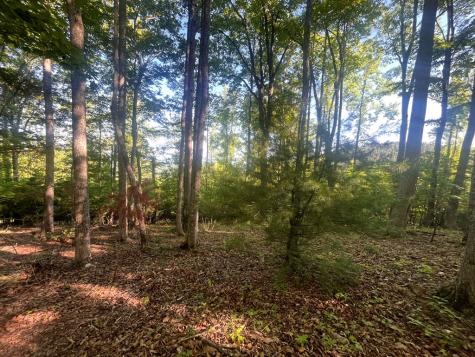 Lot 94 Thirteen Hundred S/d Blairsville GA 30512