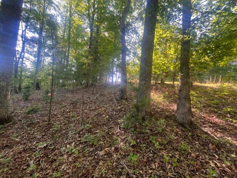Lot 94 Thirteen Hundred S/d Blairsville GA 30512