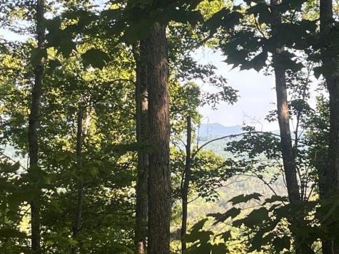 Lot 94 Thirteen Hundred S/d Blairsville GA 30512