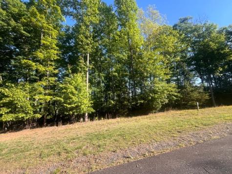 Lot 94 Thirteen Hundred S/d Blairsville GA 30512