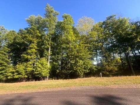 Lot 94 Thirteen Hundred S/d Blairsville GA 30512