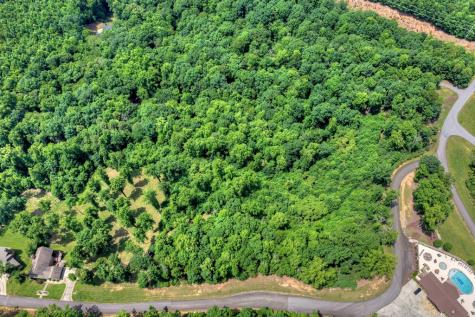 Lot 94 Thirteen Hundred S/d Blairsville GA 30512
