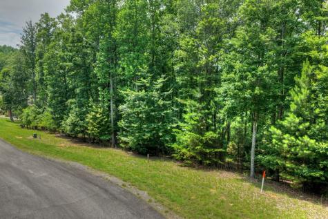 Lot 94 Thirteen Hundred S/d Blairsville GA 30512