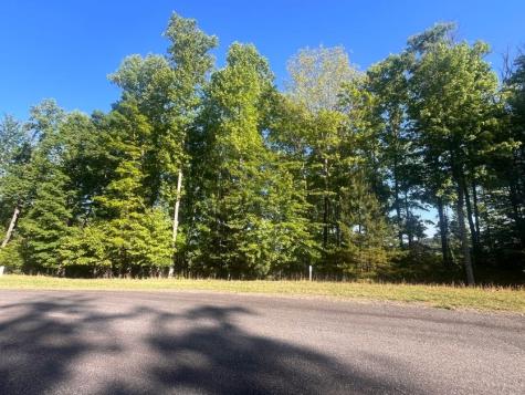 Lot 94 Thirteen Hundred S/d Blairsville GA 30512