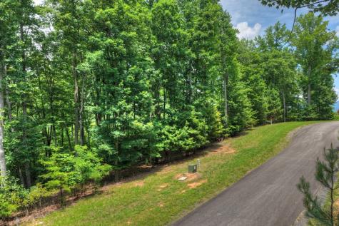 Lot 94 Thirteen Hundred S/d Blairsville GA 30512