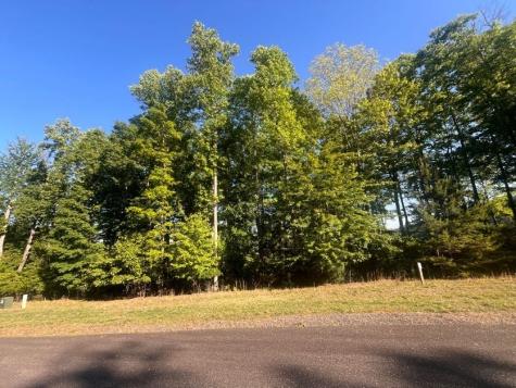 Lot 94 Thirteen Hundred S/d Blairsville GA 30512