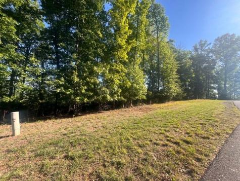 Lot 94 Thirteen Hundred S/d Blairsville GA 30512