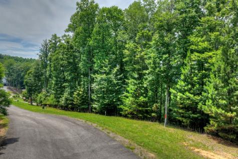 Lot 94 Thirteen Hundred S/d Blairsville GA 30512