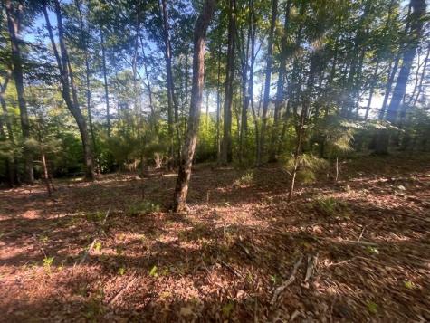 Lot 94 Thirteen Hundred S/d Blairsville GA 30512