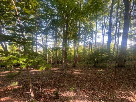 Lot 94 Thirteen Hundred S/d Blairsville GA 30512