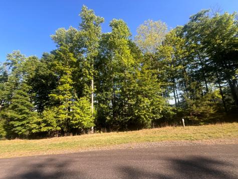 Lot 94 Thirteen Hundred S/d Blairsville GA 30512