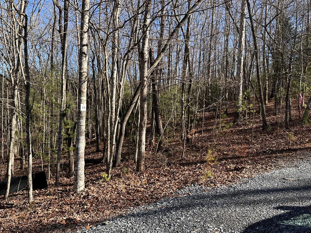 Lot 19 Fairview Drive Morganton GA 30560