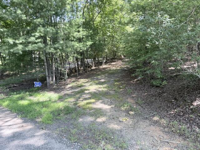 00 Jonquil Lane Hayesville NC 28904
