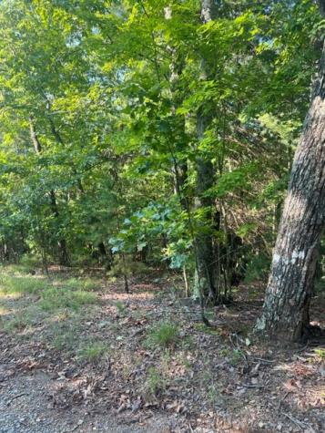 Lt 33 Buck Creek Road Ellijay GA 30540